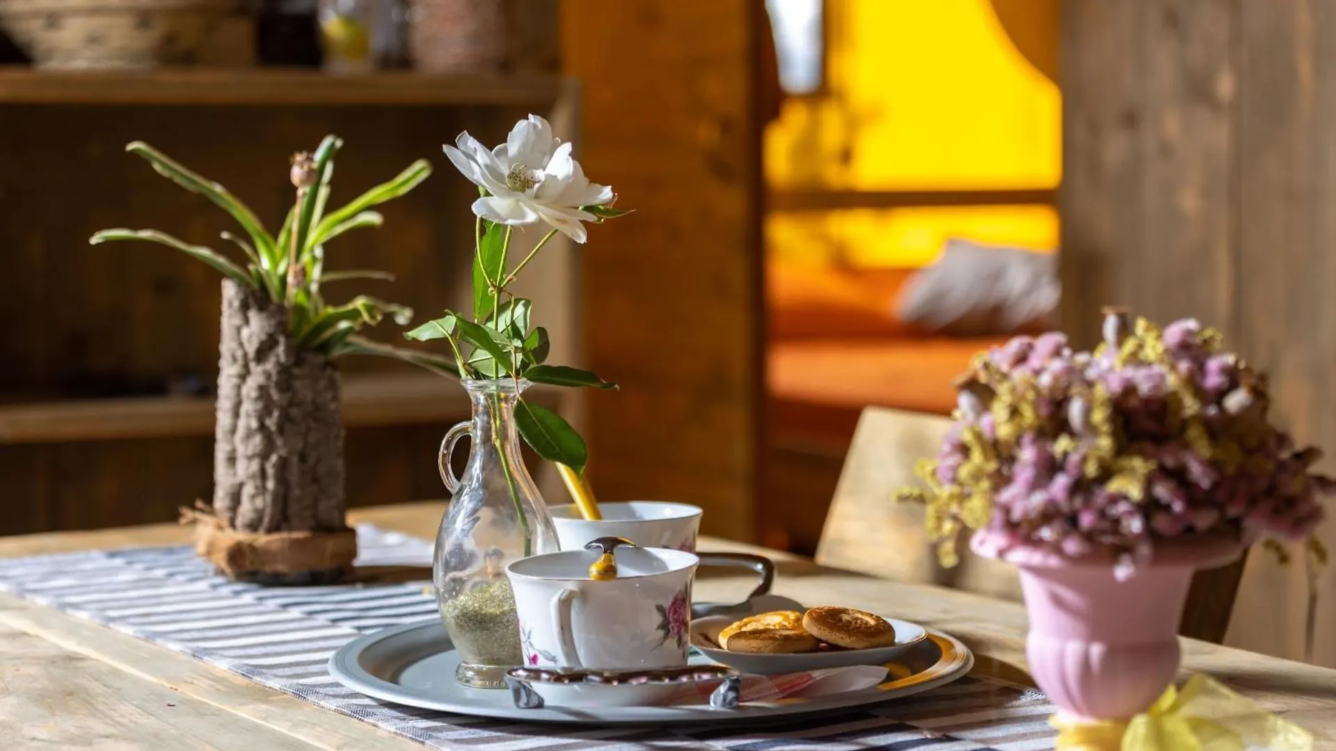 Il Pruno - Luxury Tent San Giuliano Terme Campsite