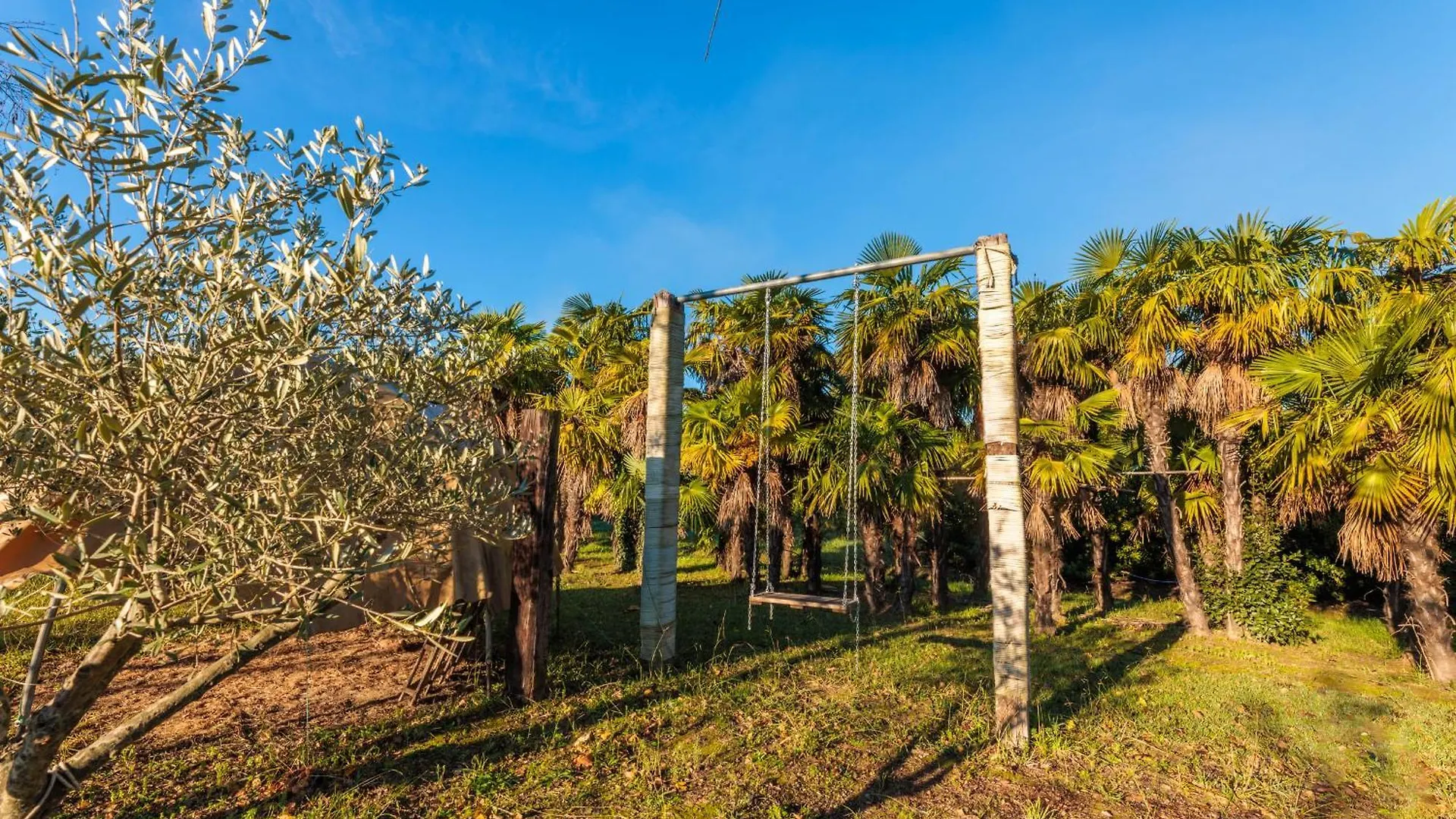 Il Pruno - Luxury Tent San Giuliano Terme Campsite
