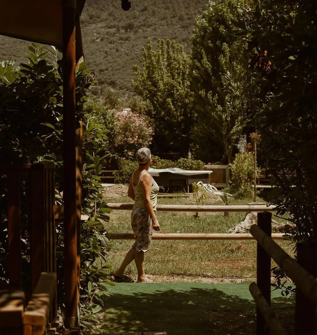 Il Pruno - Luxury Tent San Giuliano Terme 0*,