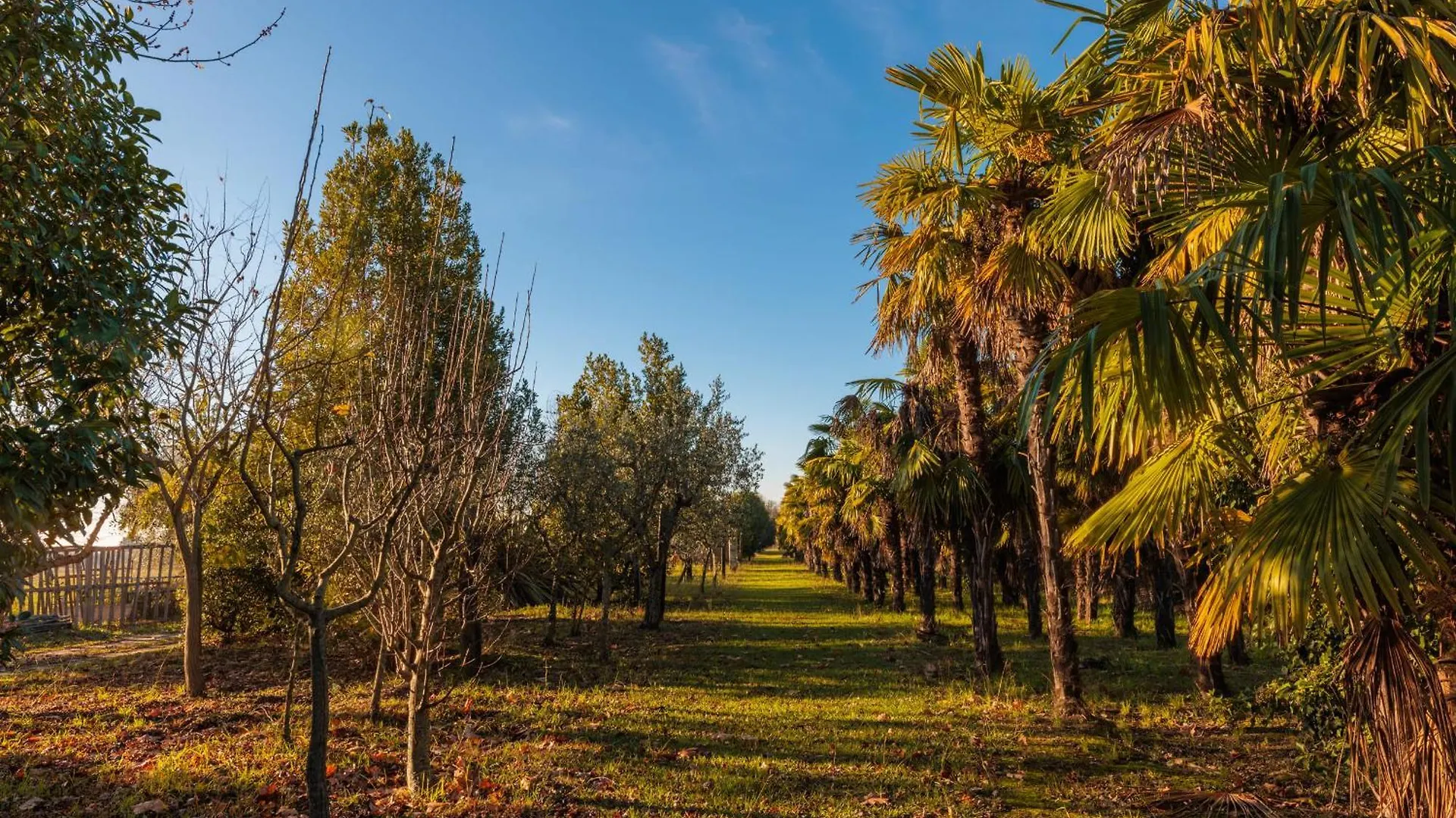 Il Pruno - Luxury Tent San Giuliano Terme Ιταλία